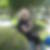 Profilbild von Iris Schwendler