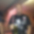 Profilbild von Matthias Roloff