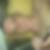 Profilbild von Roberto Sommer