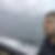 Profilbild von Francois Walch