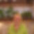Profilbild von Christine Baumgartner