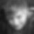 Profilbild von Jenny Goitzsch