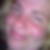 Profilbild von Astrid Kraft
