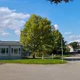 Foto der Schule Silcherschule, Stuttgart