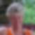 Profilbild von Ines Kramer