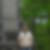 Profilbild von Thomas Grosseholz