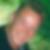 Profilbild von Ingolf Lange