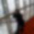 Profilbild von Sandra Bonn-Flechtner