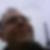 Profilbild von Markus Hahn