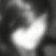 Profilbild von Julia Brockmeyer