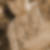 Profilbild von Jörg Franz