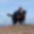 Profilbild von Bernd Wojack