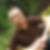 Profilbild von Frank Beyerlein