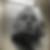 Profilbild von Fabian Lamade