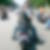 Profilbild von Karsten Scheile