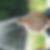 Profilbild von Timo Barth