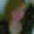 Profilbild von Britta Becks