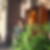 Profilbild von Gabriele Baschin