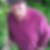 Profilbild von Rudolf Eiberger 