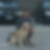 Profilbild von Horst Anders