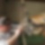 Profilbild von Thomas Himmelsbach