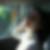 Profilbild von Manja Märtens