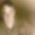 Profilbild von Michael Klingmann