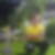 Profilbild von Sebastian Zain