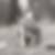 Profilbild von Udo Hinze