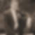 Profilbild von Timmi Abbott