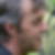 Profilbild von Thomas Wolf