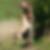Profilbild von Tilo Schroth