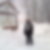 Profilbild von Ursula Maria Hauckelt-Wanders