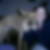 Profilbild von Nancy Kiesel