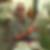 Profilbild von Bernd Ullrich