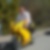 Profilbild von Dieter Brack