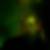 Profilbild von Sebastian Hass