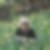 Profilbild von Manuela Siems