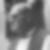 Profilbild von Dr. Karl Napp