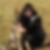 Profilbild von Silvia Wulff