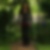 Profilbild von Nina Wordelmann