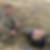 Profilbild von Steffen Liebenow