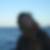 Profilbild von Claudia Behrens