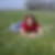 Profilbild von Berit Jobs