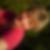 Profilbild von Martina Leidecker