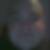 Profilbild von Dieter Segat
