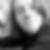 Profilbild von Philipp Losert