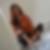 Profilbild von Sabine Forberger