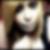 Profilbild von Stephanie Daners