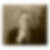 Profilbild von Simone Albrecht